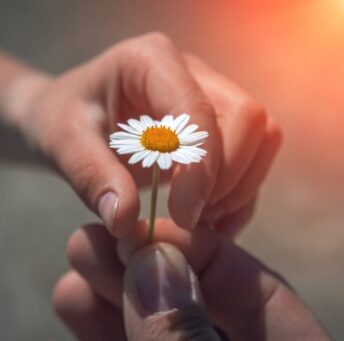 lien-processus-therapeuthique-768x498